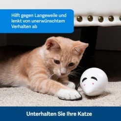 PetSafe Automatisches Katzenspielzeug RoloRat -Trixie Store 97df3eec34472f4ac76f2a0bbe4e75fdbbe02b64 1351522 de DE 83c2d308e962c4b6c64101ee39311b3a61647f71n2yR1C