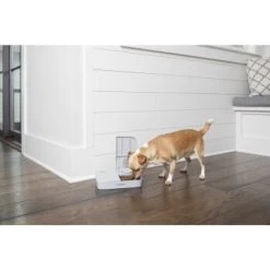 PetSafe Futterautomat Für 2 Mahlzeiten -Trixie Store 98670f242f118bad629edcf021dc784c6a55633d 1343837 2