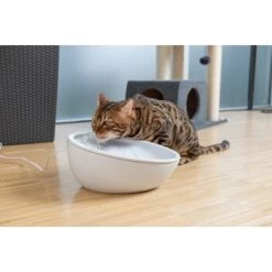 AniOne Keramik-Trinkbrunnen Waterfall Weiß Ohne Ersatzfilter -Trixie Store 9ab78e65ebaf72b76c537cd735c5a7cd6cd4d027 a897eca6393f48ff54c98954a2b189a96196cfbd