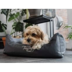 TrendPet Viscado Orthopädisches Hundebett Grau S -Trixie Store 9c2aac392761f60634b96586f9ca8fea36a330f3 1223491 de DE 77a60efe560ae5a24974687129c9a4897f06636bRS6Yeq