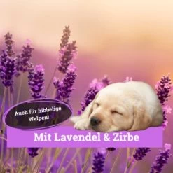 BeG Buddy Körbchen Spray Beruhigung Stress -Trixie Store 9d7bd8e422fc117daaa45f2eadc4e2e342f5d199 1669471 de DE 146feb38dd17e6baa3c59778f26e903482106de9cso8xz