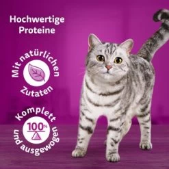 Whiskas Pure Delight Mega Pack Geflügel Ragout In Gelee 40 X 85g -Trixie Store 9f640c36363dfb61f5b5632a4b10e09a36dea899 1410723 de DE Whiskas2 1