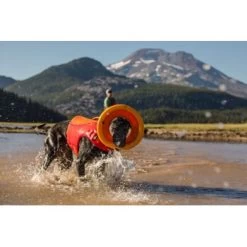 Ruffwear Hydro Plane™ Spielzeug M Orange -Trixie Store a3976cd8510df92d7b86f42c35fd984bc0313421 1364300 de DE 7e1ea9adae25d55e79a8aed2cc6dc797ac8d0d03R1qvUL