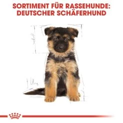 ROYAL CANIN German Shepherd Puppy 12 Kg -Trixie Store a6ed0d212b31f716e951be43160e14dc1fcf1361 828f54e1844421c8d74031b31ca63b9e59d8c1ae