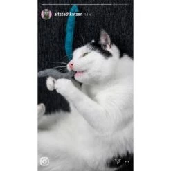 Kater Kasimir Premium Paket Mit 7 Beliebten Katzenspielzeugen Aus Naturmaterial -Trixie Store a8d63102b5d85ff6bd190320cd050bd7abfcc3ad 1408152 de DE 1fc0cc3c919dcaaf28a0e442859a52c0a2aaef43aLT5KO