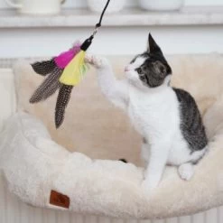 Schlitzohr Katzenangel Federanhänger 5x -Trixie Store ac968f3e92fea38def92e5a7524fa7085dc78563 1484675 de DE ddb20d567bfb55f49958028f07ad50186cd87523xUAnfc