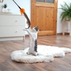 Schlitzohr Federwedel Birdy 3er Pack -Trixie Store ad71433917b4c75207a76b8cde2a63e28ac6a3f4 1659562 de DE 3439e97a8a6ef7574f0506829a0694961b8792bfHS2VqL