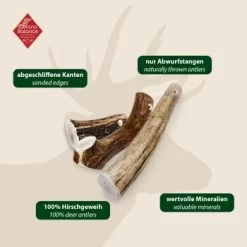 ChronoBalance Geweih Ganz (XXL) 2er Paket -Trixie Store af79b1ab62f690deb0da53bed01d5f90a9e27e31 1418694 de DE 97f6faa2e066481717c6e9970bb381a3824303b8QNcbfh