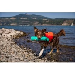 Ruffwear Lunker™ Spielzeug Blau/ Türkis -Trixie Store b1ff74faaf51c648517e284bc677372b2de917b1 1364294 de DE 872baa13c3c684e3cd884d6a02e37e7e22ad686cLNC7EY