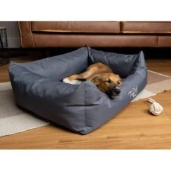 TrendPet Viscado Orthopädisches Hundebett Grau S -Trixie Store b850f0e6c4e433c511ed7d8550b95f4b81723b8b 1223491 de DE bc0da1f4eff9981843ce75ffd5100a6220d26b79BDc1to