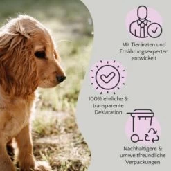 FAVLY Petfood FAVLY Probierpaket "Meat Roll" -Trixie Store bfb84361d73f660a80f9bdd3b9c7b03b3a337624 1475312 de DE 908544d2c24927cde4ce8f1acefe41ebea7bec296Yut1c