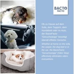 ChronoBalance BactoFacto Probiotischer Geruchsstopp Pads Für 2 Liter 20 Ml -Trixie Store c27e75fc226c89e592b2af9866887997e79057a8 1397549 de DE 11eaf103bff429178d8c79950fc83faf63345183BU6JEF