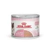 ROYAL CANIN Mother & Babycat Mousse 12x195 G -Trixie Store c32fc0cfebd8f5e89e3cbdf6c7b8a5d0108f587c 9003579002667 12