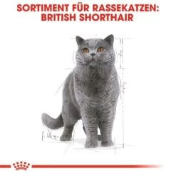 ROYAL CANIN British Shorthair 12x85g -Trixie Store cef864a6d96bd724a83d6f9b8b025859b152e48f 162627d7285521633865f39e7637e23ccc5e9a86