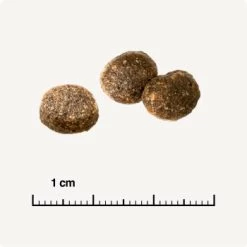 REAL NATURE WILDERNESS Adult Probierpaket Mixpaket 1, Mix-Pack -Trixie Store d13ec079dfc733868201f90c68c1160fb8a8b3ec 1267094 de DE 6