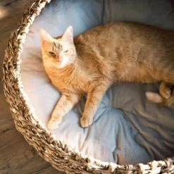 District 70 COCOON Natural M -Trixie Store d1bca9000c27271741682ed9d9947040fa216679 010fccd4edaf289528235b12a94f95e756b71b5e