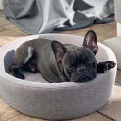 Canadian Cat Company Hunde- & Katzenbett Derby -Trixie Store d4d8399aebe1ed3e66fc23057fe9bc3b6f9819f1 1412690 de DE 7e35afdccac293ca871653190642a189fd08f495NuJfk3