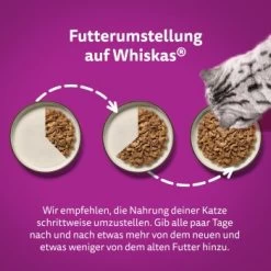 Whiskas Pure Delight Mega Pack Geflügel Ragout In Gelee 40 X 85g -Trixie Store d6a8a09c8b825d7ad1f2bed51042c49fcc323dab 1410723 de DE Whiskas 5