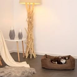 Lionto Hundebett Mit Wendekissen Meliert S -Trixie Store da1652eacbf064171e9e0e9da4ceba9377d5ea08 1657960 de DE 656337e4d1290a59374f1992093789c3e8808553mhNhLE