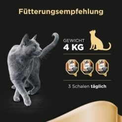 Sheba Classics In Pastete 22x85g Mit Ente & Huhn -Trixie Store db3ddb8a2d5a3d236d7dcc9f93be382078be15f4 cfab620511bd0eb34d47d0f7770d3ab65b34729a