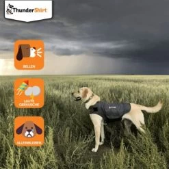 Thundershirt Beruhigungsweste Grau XS -Trixie Store dba829e1909f5c4f6710e4085b27664b9bf6ac3e 1102942 2