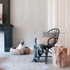 District 70 COCOON Natural M -Trixie Store dcc78b603e8b104d92f7a1f35d76eed51c8d91e7 cdd1947c035419f5ce8abf5f0e6c08dec6b53512