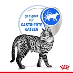 ROYAL CANIN Indoor Sterilised 12x85g In Gelee -Trixie Store e0f30f9a28c4a2b10156c12b92347b4c5a9b1e23 8c952aa18fe09440ca4c62569fbc775fe9fd6239