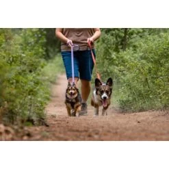 Ruffwear Front Range™ Leine Violett -Trixie Store e3a0d194199f2c3e8abe24ccd047542b76343731 1651455 de DE 1585a1c98b60d12d5d577f43178578f3b8f89241TOwtSr