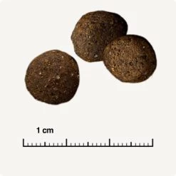 REAL NATURE WILDERNESS Desert Sands Kamel & Pferd 12 Kg -Trixie Store e593299b652dffebc36cd625a372440b9780dd80 1297079 de DE 6