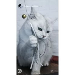 Kater Kasimir Premium Katzenangel Mit 4 Handgemachten Anhängern Aus Naturmaterial -Trixie Store e6fe48d27b82d48675d665ee2a143e3c11de2fd9 1408150 de DE b29a5f7f2530ce6388e16e2600369d70b2ec0350kYn6B8