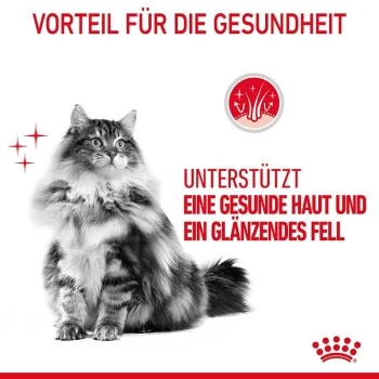 ROYAL CANIN Hair & Skin Care 2 Kg 12 ROYAL CANIN Hair & Skin Care 2 Kg – Bild 10