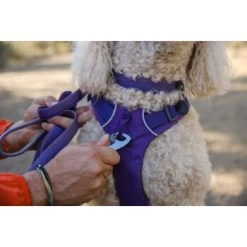 Ruffwear Front Range™ Leine Violett -Trixie Store eb2f9759d53ffaaebfe530ff03ce98c7a48a56d1 1651455 de DE 2df17f72915d6716e32ef884f8fc79995debc11eCsj6N1
