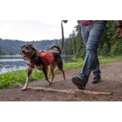 Ruffwear Front Range™ Hundetagesrucksack Rot XS -Trixie Store ecc2342d30f723199676137e5ad8c45ad3ce0796 1639836 de DE fe8e077ce41ec4d12619357e7402d2ee7ca63fed0L7PK6