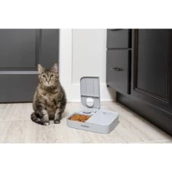 PetSafe Futterautomat Für 2 Mahlzeiten -Trixie Store ecfa45428902a757dc7016a44357eeb1f8b25a89 1343837 6