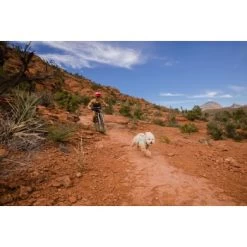 Ruffwear Swamp Cooler Zip™ Kühlweste Für Hunde Pink XL -Trixie Store f39337d577f60e5d30ba5addfb811febecbc66e7 1639652 de DE 1ff9fca93caed68be3a65cc55ad0d154f81bf268suJpN2