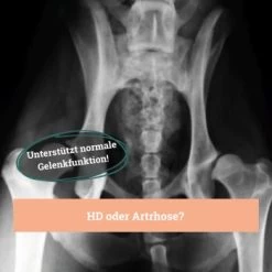 BeG Buddy Gelenk Fit Tabletten -Trixie Store f4b9d51f2e78d12f2ca2a2fe6ae9f754ebede26e 1457251 de DE d18aefeba3109b170fc6ce5df4353512cf27c799DQ6Cd3