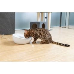 AniOne Keramik-Trinkbrunnen Waterfall Weiß Ohne Ersatzfilter -Trixie Store f5666e2f535275128e81462f19991e450c3d3f87 c66954489332ac4ff326811e24559ef9b2854fac