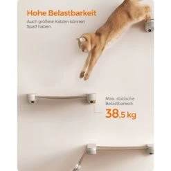 FEANDREA Clickat Katzenmöbel 3er Set, Für Die Wand -Trixie Store f7aff5070c5f1b9dc5bbdf24e5f94b30ab6bcc4a 1681459 de DE 2162716de0a1552ee6b9cb18bfa03d352c2b2eebcymJF2