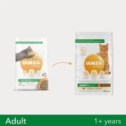 IAMS Vitality Adult Huhn 3 Kg -Trixie Store f804e0ee64994c9330ab576676ab948e4d631397 6db7c3bf08e680fa668e206de39397b5b73114ff