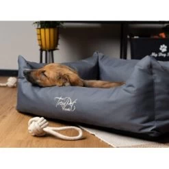 TrendPet Viscado Orthopädisches Hundebett Grau S -Trixie Store fa523fcf214ad29948357f749f8411c84318d608 1223491 de DE 74cdf346c57dca6a823d241257081a9c82df4746q2Hpnp