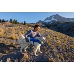 Ruffwear Trail Runner™ Weste Blau XS -Trixie Store fe9a07e8da387504b2215a58c73311668656feaa 1639640 de DE 7e91d54f53a97c1cbc2709f9a67c912d45a39cffx1uy8o