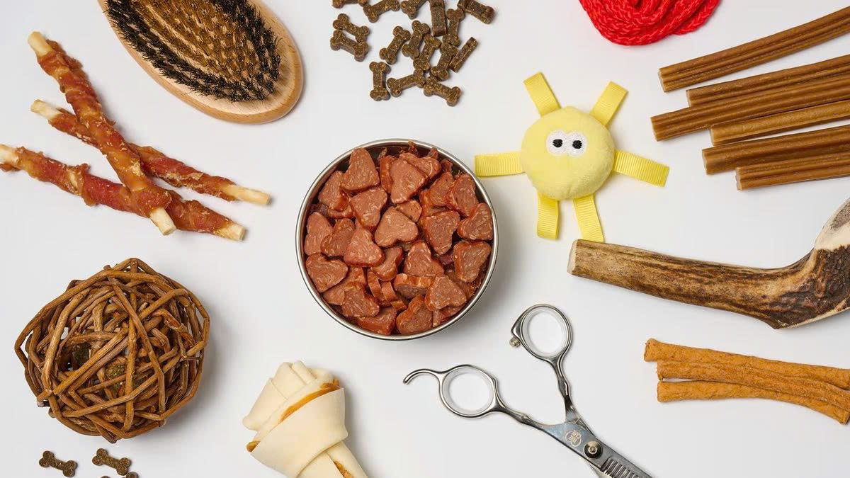 Trixie Store -Trixie Store z6691344314711 a6f496d5383b660ddfc3fe7ce7e4a5d1