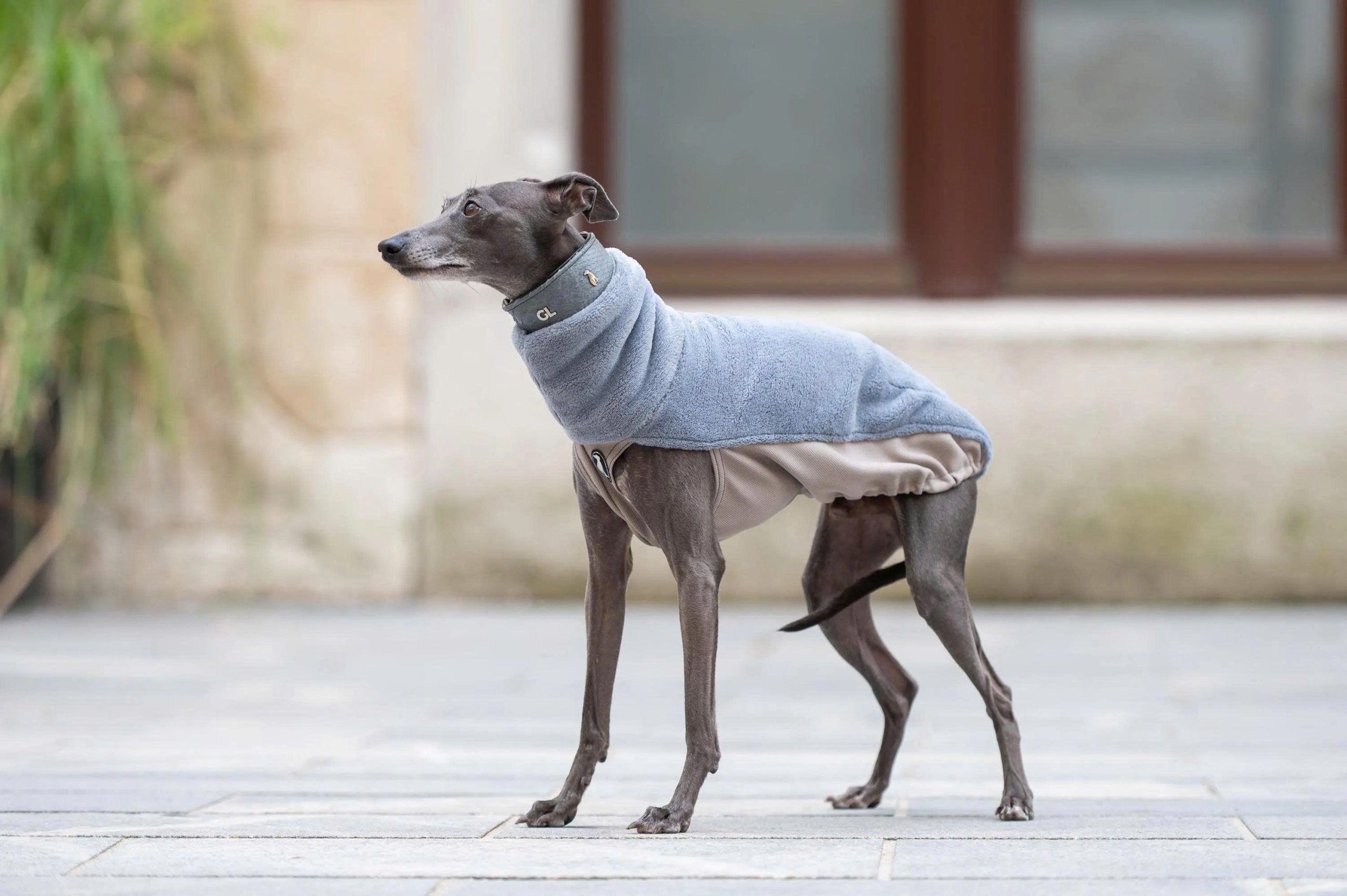 Trixie Store -Trixie Store z6691364762516 90d68ae0444f2adbd65cd5d73ec54c71 scaled