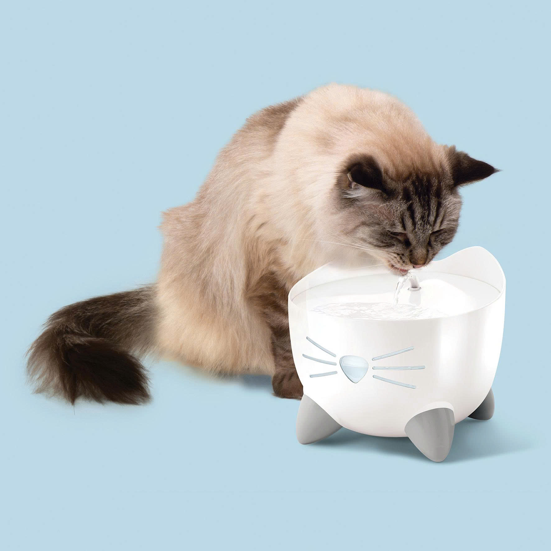 Trixie Store 26 Trixie Store -Trixie Store z6691596713059 a3b6ee27ed8f149e89f7a00806ac60d4